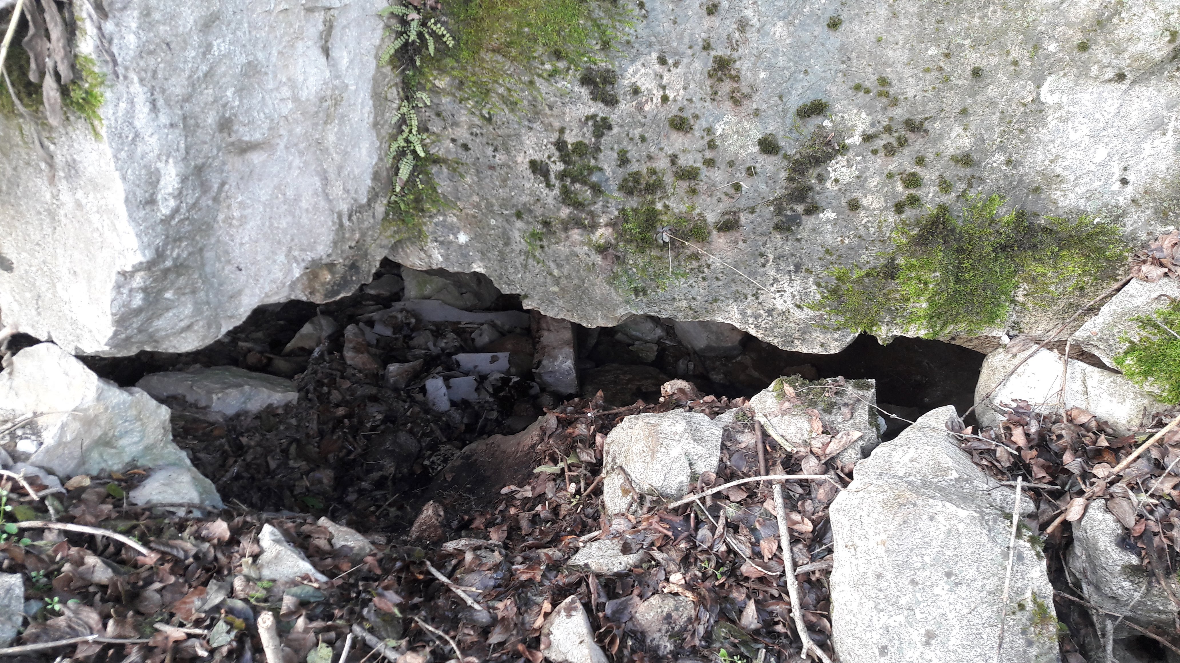 Peștera Caprelor - Image 1